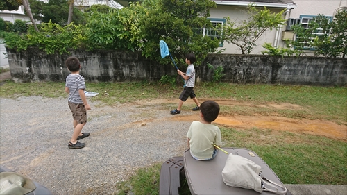 8���E�W���O���I